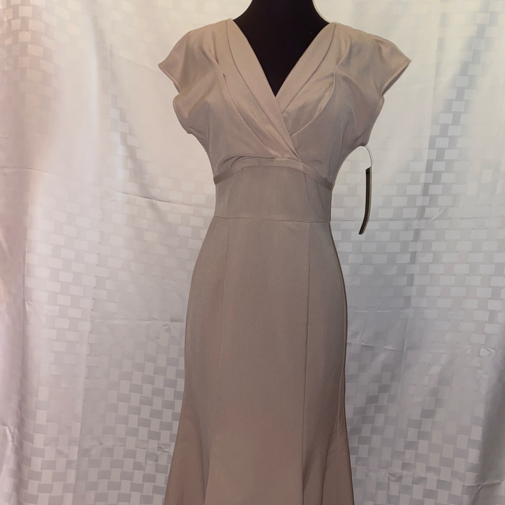 Stop Staring! Alicia Estrada Dress